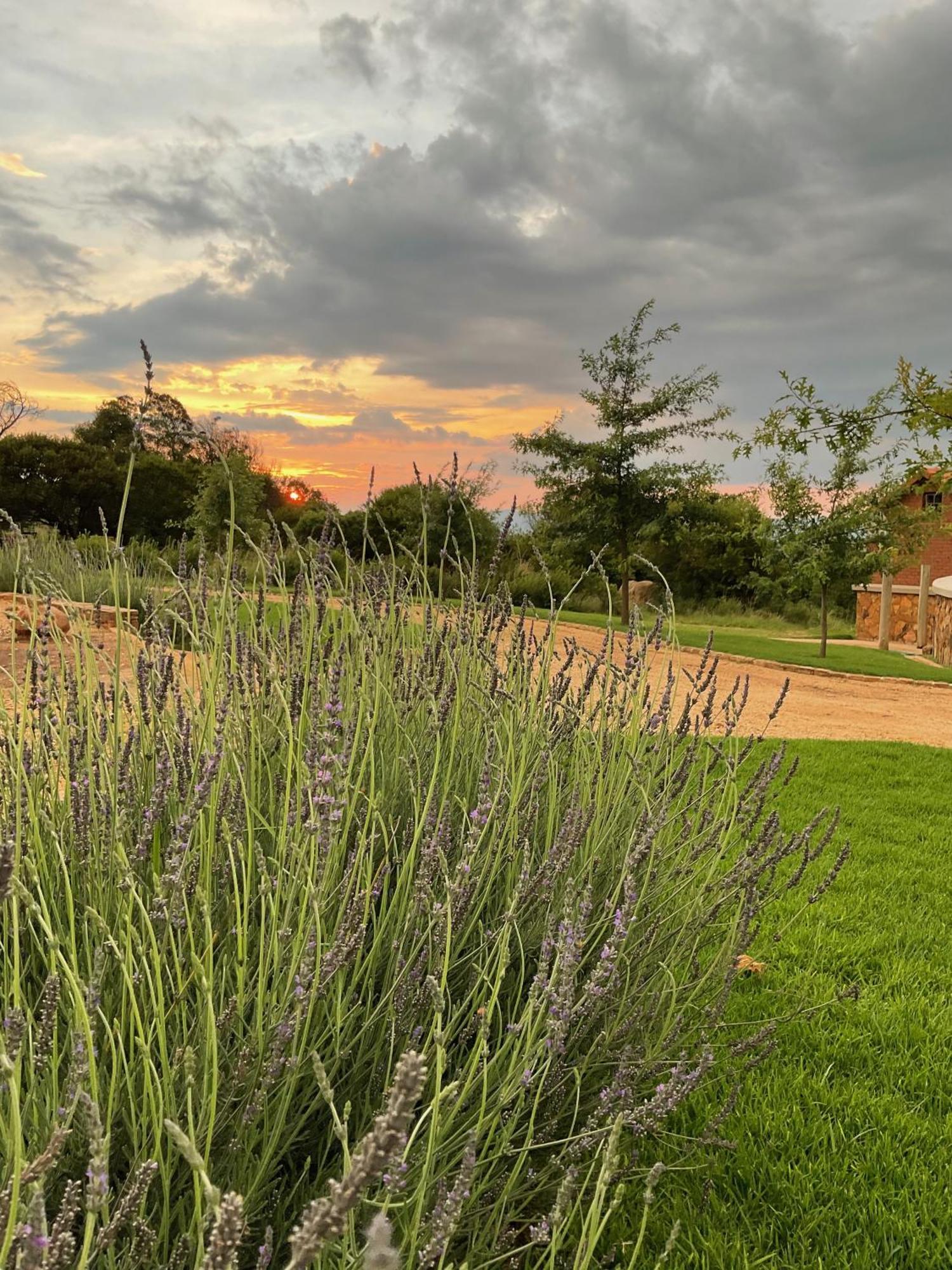 Mount High Luxury Country Estate Vila Lydenburg Exterior foto