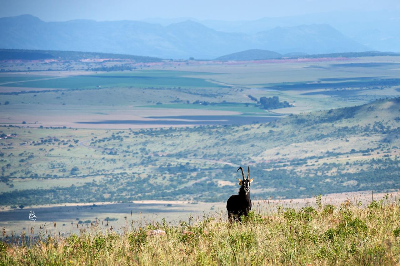 Mount High Luxury Country Estate Vila Lydenburg Exterior foto
